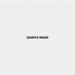 Beautiful woman with magnificent hair